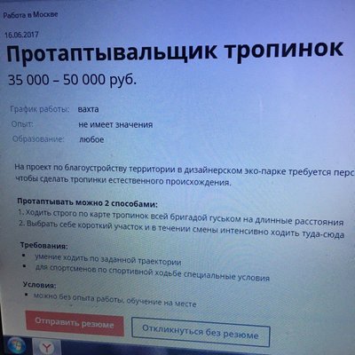 image (1).jpg