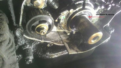 Viv24dBla-4.jpg