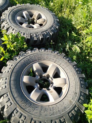 IMG_20170715_174940.jpg