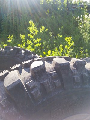 IMG_20170715_175022.jpg