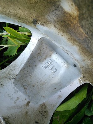 IMG_20170715_180053.jpg
