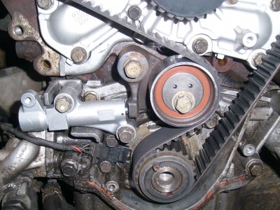 SL273731.jpg