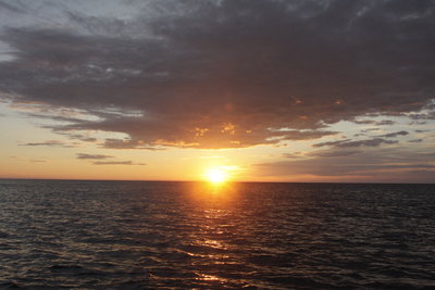 _MG_7597.JPG
