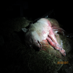 IMG_5105.png