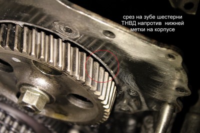 Шестерня ТНВД и метка на корпусе