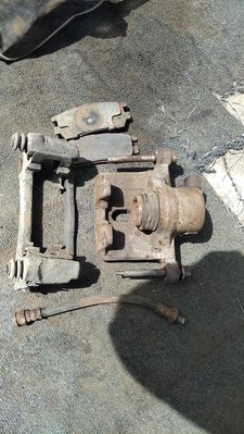IMG_20170820_115204.jpg