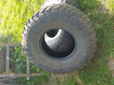 20170819_150945.jpg