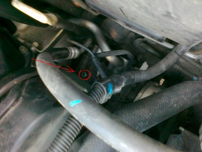 31052011043.jpg
