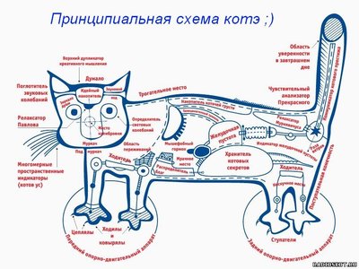 IMG_0227.JPG