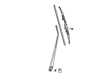 CImage (1).png