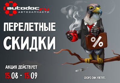 sokol.jpg