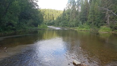 IMG_9376.JPG