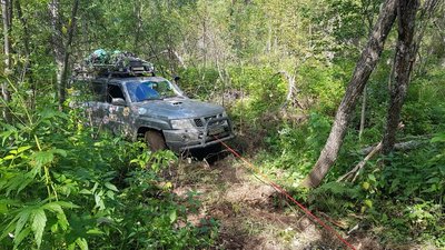 IMG_9382.JPG