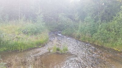 IMG_9387.JPG
