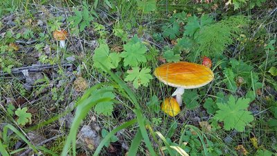 IMG_9180.JPG