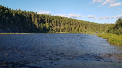 IMG_9210.JPG