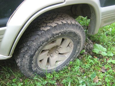 IMG_1335.JPG