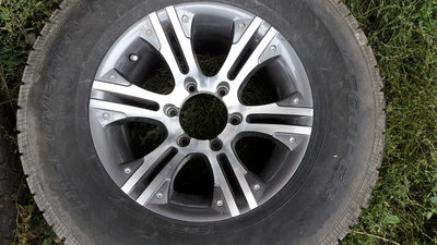20170909_074801(0).jpg