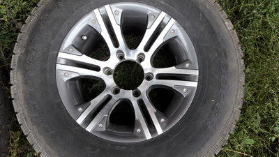 20170909_074801.jpg