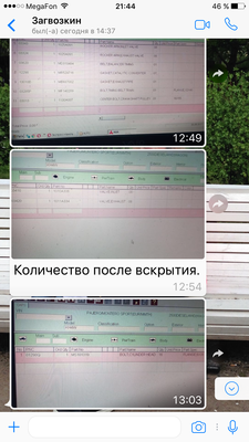 IMG_9097.PNG