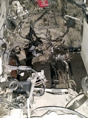 20170908_160536.jpg