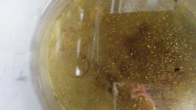 20170817_001000[1].jpg