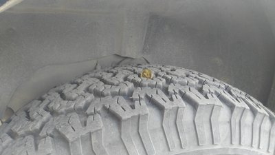 IMG_20170914_155959.jpg
