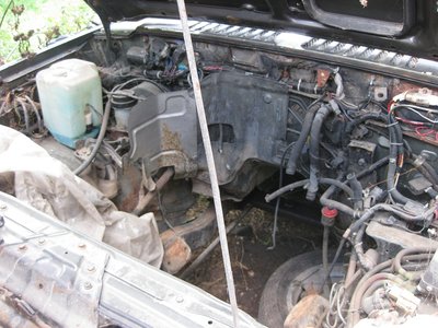 IMG_2723.JPG