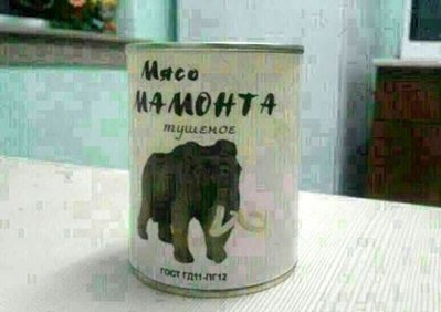 125.jpg