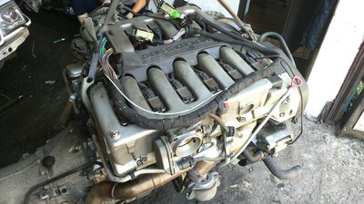DSC_0033.JPG