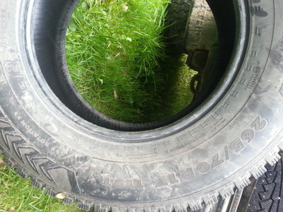 20170927_092711.jpg