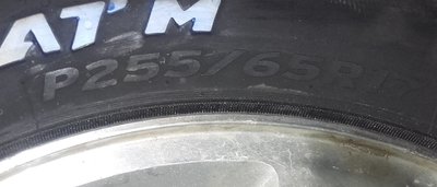 hankook_5.jpg