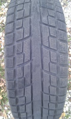 IMAG0347.jpg