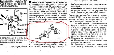 Лягушка1.jpg