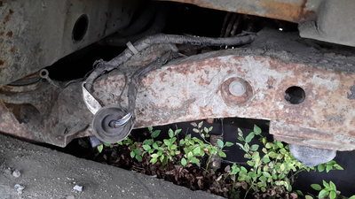 20171009_133227.jpg