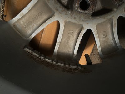 IMG_7492.JPG