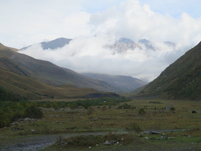 IMG_2916.jpg