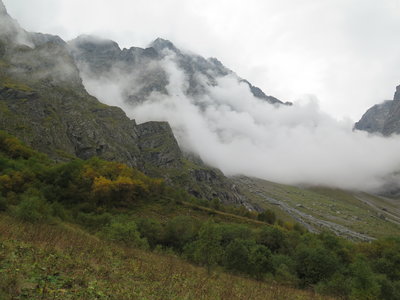 IMG_2943.jpg