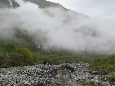 IMG_3015.jpg