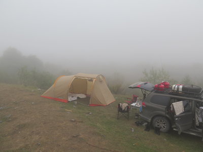 IMG_3019.jpg