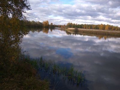 IMG_20171010_140102.jpg