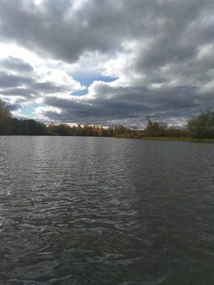 IMG_20171010_131817.jpg