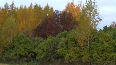 IMG-20171012-WA0097.jpeg