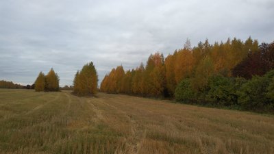 IMG-20171012-WA0093.jpeg