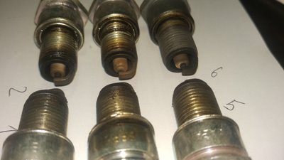 IMG_20171014_093259.jpg