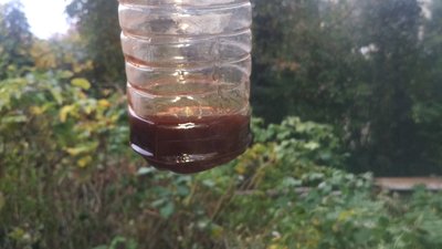 IMG_20171015_173754.jpg
