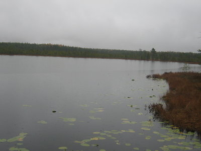 IMG_2480.JPG