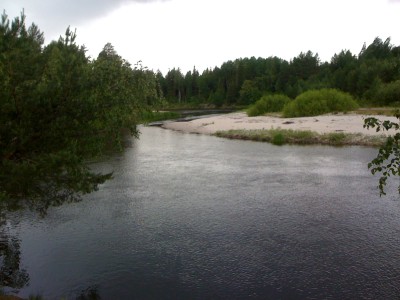 IMG_0959.jpg