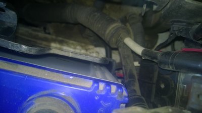 WP_20171024_004.jpg
