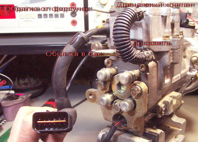 DCP_0345.jpg